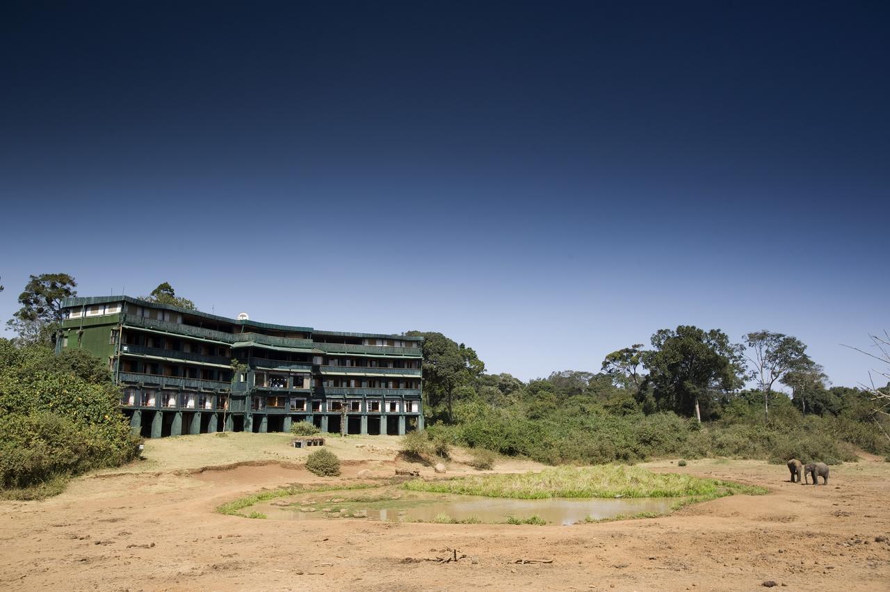 Serena Mountain Lodge Kabaru Esterno foto